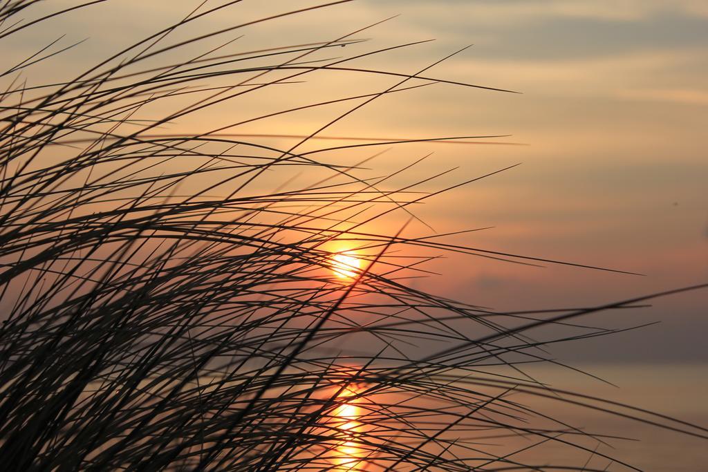 Appartmentanlage Zur Duene Insel Poel Szoba fotó